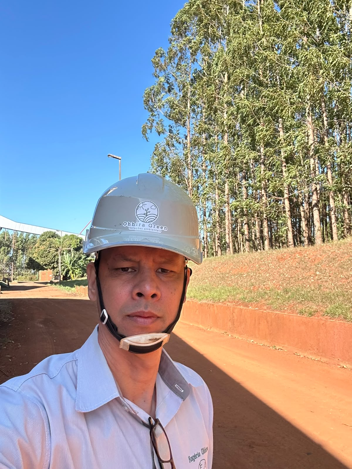 Vistoria técnica em área de plantio florestal