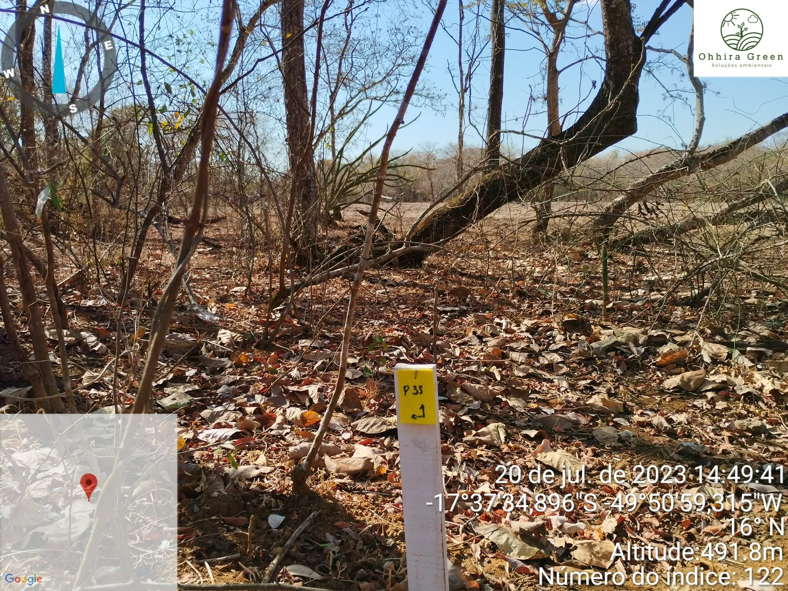 Levantamento georreferenciado para inventário florestal em campo